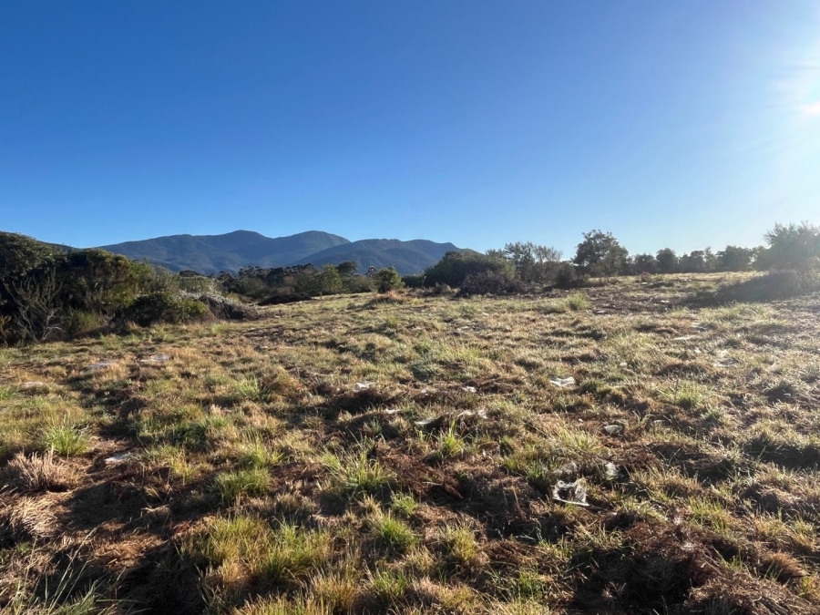 Commercial Property for Sale in Plettenberg Bay Rural Western Cape